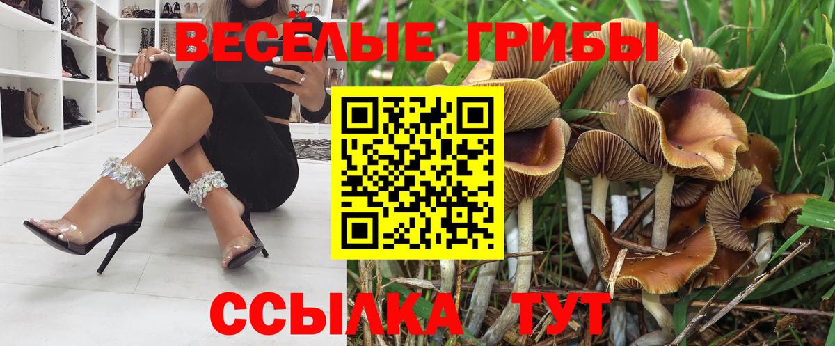 Александров  Псилоцибиновые грибы мухоморы  Вход с VPN 